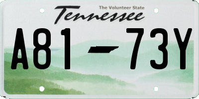 TN license plate A8173Y