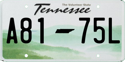 TN license plate A8175L