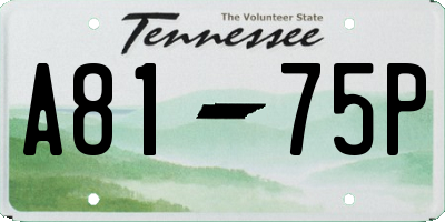 TN license plate A8175P