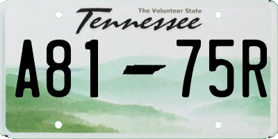 TN license plate A8175R