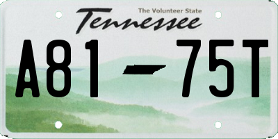 TN license plate A8175T