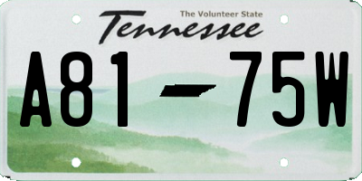 TN license plate A8175W