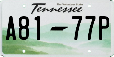 TN license plate A8177P