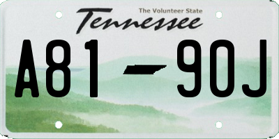 TN license plate A8190J