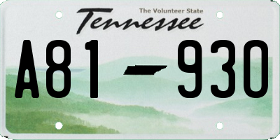 TN license plate A8193O