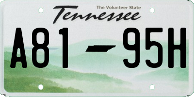 TN license plate A8195H