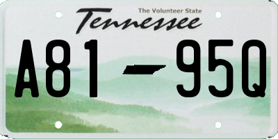 TN license plate A8195Q