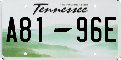 TN license plate A8196E