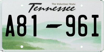TN license plate A8196I