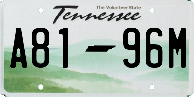 TN license plate A8196M