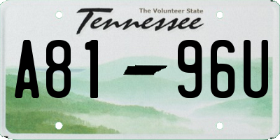 TN license plate A8196U