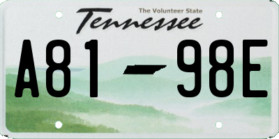 TN license plate A8198E