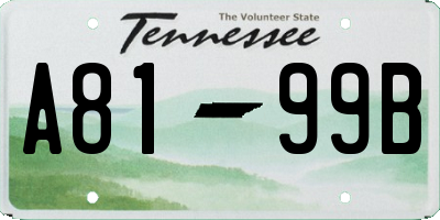 TN license plate A8199B