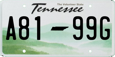 TN license plate A8199G