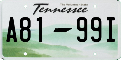 TN license plate A8199I