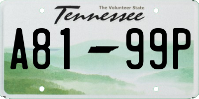 TN license plate A8199P