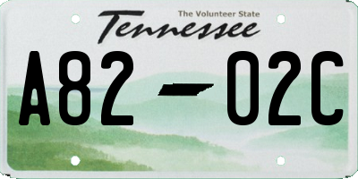TN license plate A8202C