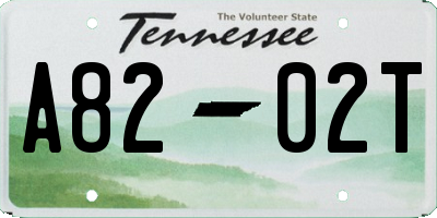 TN license plate A8202T