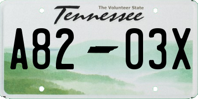 TN license plate A8203X