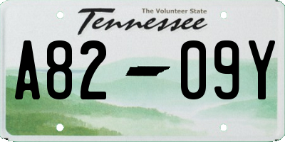 TN license plate A8209Y