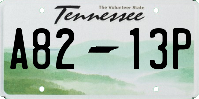 TN license plate A8213P