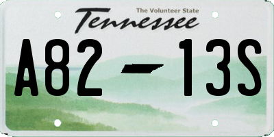 TN license plate A8213S