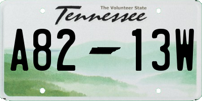 TN license plate A8213W