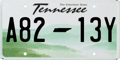 TN license plate A8213Y