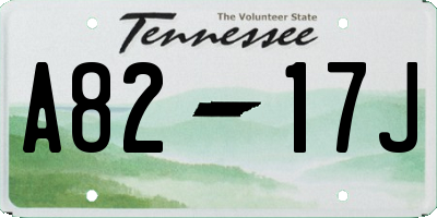 TN license plate A8217J