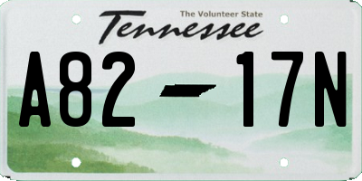 TN license plate A8217N