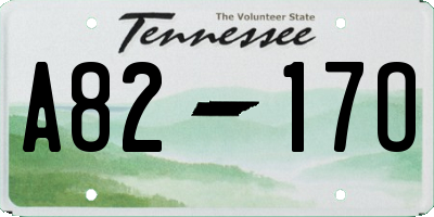 TN license plate A8217O