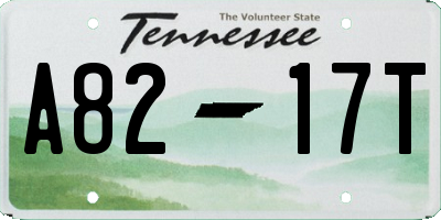 TN license plate A8217T