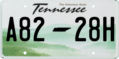TN license plate A8228H