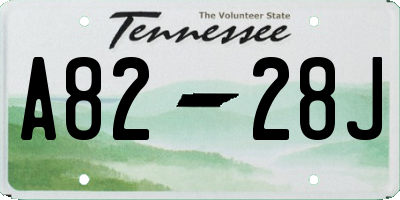 TN license plate A8228J