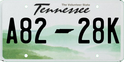 TN license plate A8228K