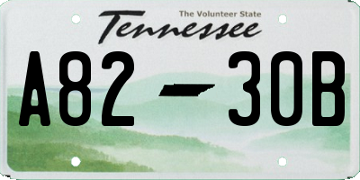 TN license plate A8230B