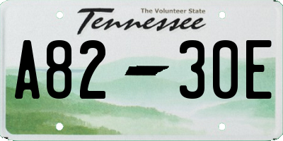 TN license plate A8230E
