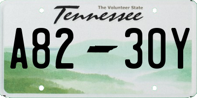 TN license plate A8230Y