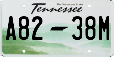 TN license plate A8238M