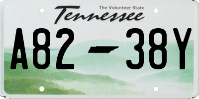 TN license plate A8238Y
