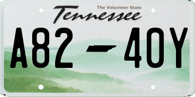 TN license plate A8240Y