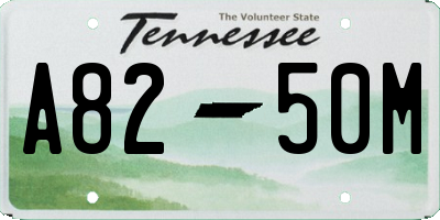 TN license plate A8250M