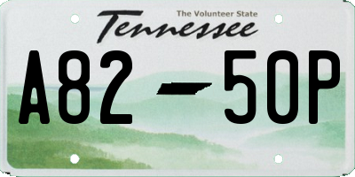 TN license plate A8250P
