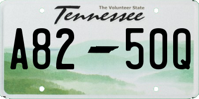 TN license plate A8250Q