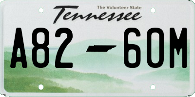 TN license plate A8260M
