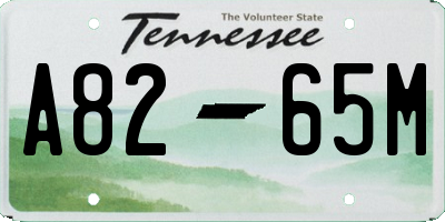 TN license plate A8265M