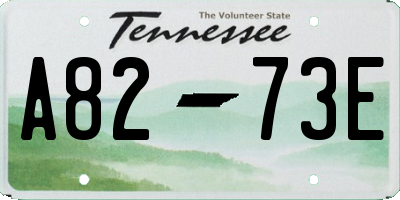 TN license plate A8273E