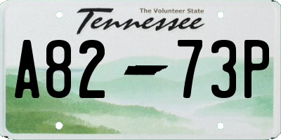 TN license plate A8273P