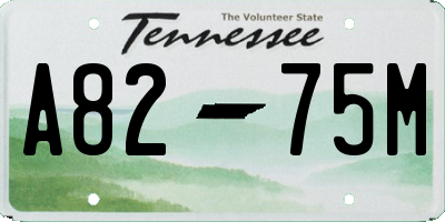 TN license plate A8275M