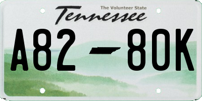 TN license plate A8280K